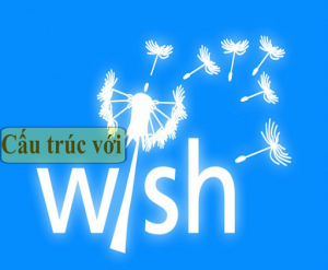 Cấu trúc wish