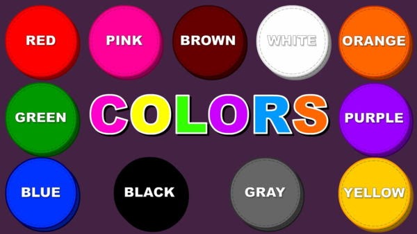 Từ vựng về màu sắc là chủ đề gần gũi và dùng thường xuyên cho trẻ