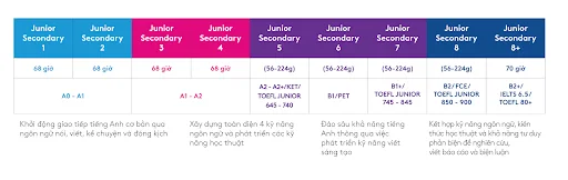 Lộ trình học từ cơ bản đến nâng cao trong chương trình YOLA Junior