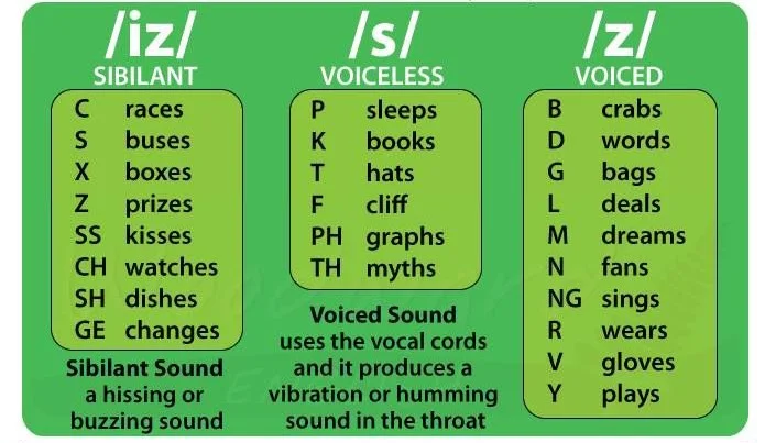 Cách phát âm s/es và mẹo ghi nhớ